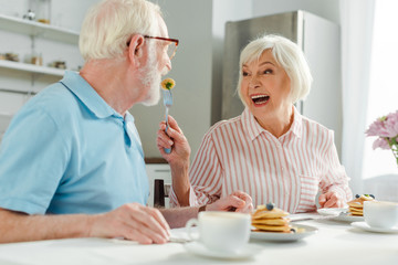 Fototapeta na wymiar Senior woman laughing while feeding husband with pancake during breakfast in kitchen