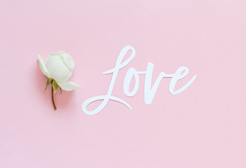 Obraz na płótnie Canvas Cream rose and text LOVE on a light pink background