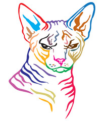 Colorful decorative portrait of Cat 3