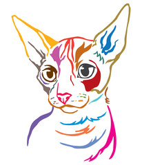 Colorful decorative portrait of Cat 4