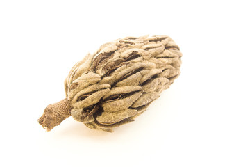 rope isolated on white background