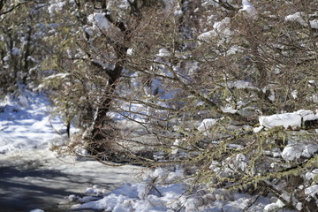 Parque Nacional Villarrica