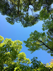 空
