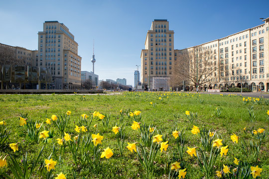 Frühlingserwachen am Strausberger Platz Berlin