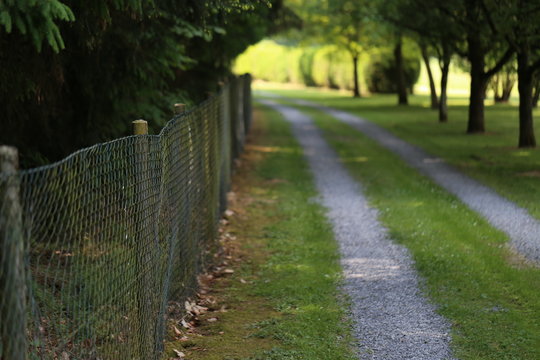 Landscape with a metal mesh fence along the road
