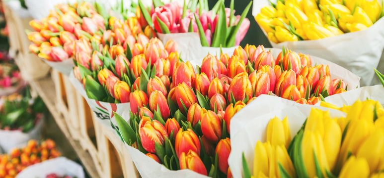 tulips for sale at street flowers market