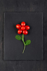  flower of cherry tomatoes and anugular on a black plate on dark background