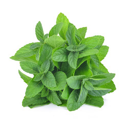 mint leafs isolated on a white background © evegenesis