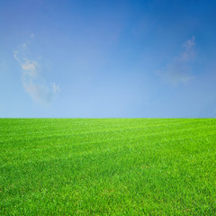  fresh spring green grass, green grass texture or background