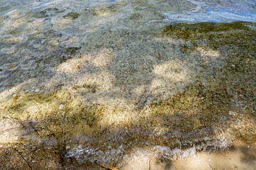 Transparent water in a forest pond. The sand under the water.