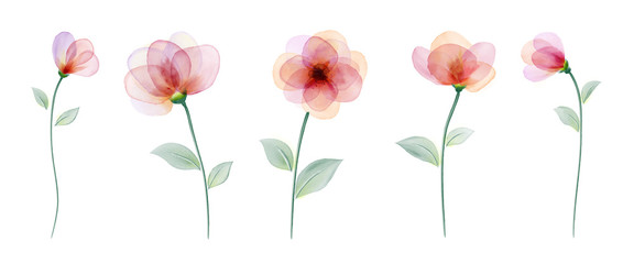 Set watercolor hand painted with colourful flower