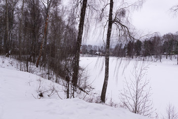 Winter forest landscape with frozen river in cloudy day