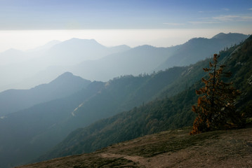 Obraz premium Moro Rock is a granite dome rock formation in Sequoia National Park, California, United States