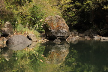 Parque Nacional Vicente Perez Rosales