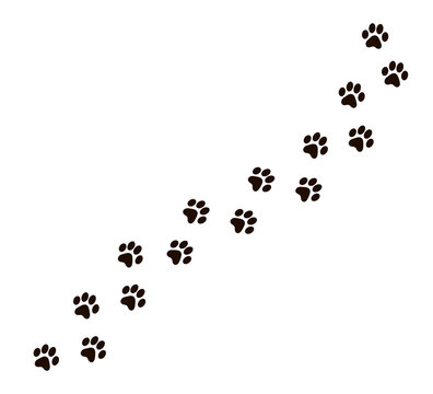 Paw vector trail print of cat isolated on white background. Dog or puppy silhouette animal tracks. Paw Print.  Vector illustration
