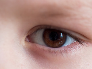 Human eye close up. Eyebrows, eyelashes, eyeball, pupil. Green-yellow color. Shallow focus, blur....