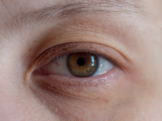 Human eye close up. Eyebrows, eyelashes, eyeball, pupil. Green-yellow color. Shallow focus, blur. Woman, 35 years old. Child boy 10 years.
