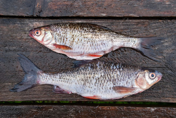 Fresh fish lies on a wooden table top view