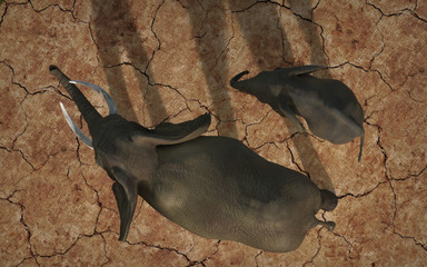 Elephant father and sun walking on cracked dirt top view 3d rendering