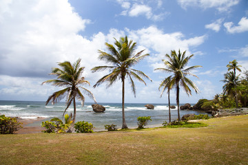 View of the beach with palm trees on the background of the ocean on a clear Sunny day, the island...