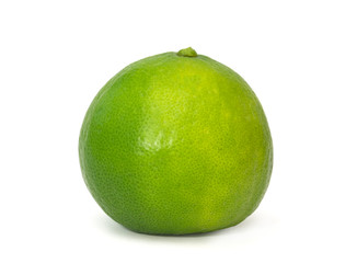Isolated of fresh green lemon or lime  fruit on white background with clipping path.
