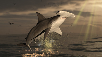 Hammerhead shark in air jumped over the ocean surface 3d rendering - obrazy, fototapety, plakaty