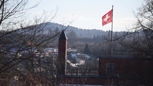 Swiss Flag in Uster. Birds and farm animals in the background