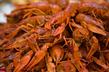 crayfish