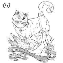 Zodiac. Vector illustration of the astrological sign of Cancer as a Munchkin cat looking down. Line art template suitable for coloring book page. Print isolated on white background