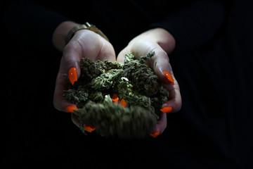 Woman's hands with orange acrylic nails dropping weed buds. Black background