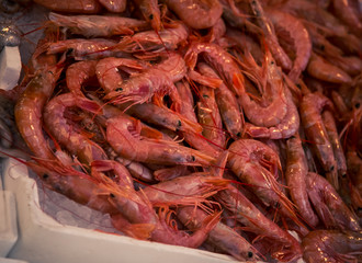 pile of fresh shrimp in Italy