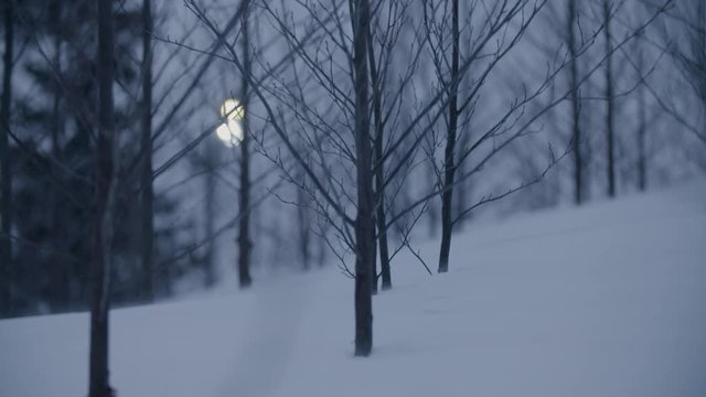 Snow-fall at Holmenkollen by night. Slow-motion in the forest. Cold atmosphere