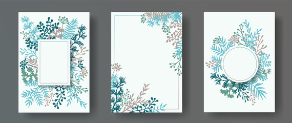 Wild herb twigs, tree branches, flowers floral invitation cards collection. Herbal frames rustic cards design with dandelion flowers, fern, mistletoe, olive tree leaves, sage twigs.