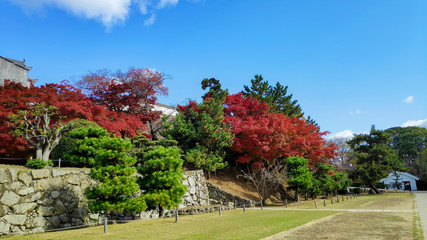 Beautiful garden inside Himeji castle
