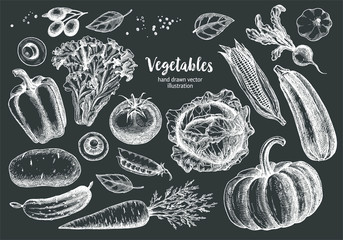 Vegetables Collection With Sketch or Hand Drawn Style on Blackboard Background © nata_danilenko