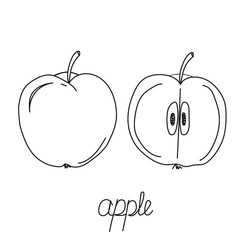Fruit hand drawn. Fruits. Whole and sliced apple. Half, pie apple. Apple doodle icon isolated on white background.  Set apples fruit sketch vector illustration with handwritten text.  