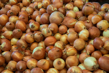fresh onions at the market