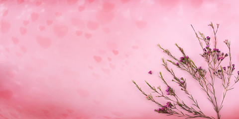 Dried flowers on pink heart background