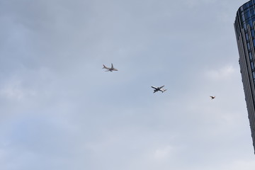 2 planes and a seagull
