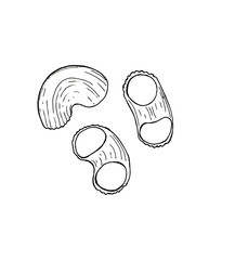 Hand drawn sketch illustration of Pasta Gomiti isolated on white