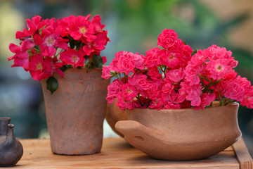 Tonschalen mit Blühpflanzen auf Holztisch im Garten