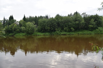 lake in forest