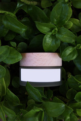 Natural green cosmetics skincare cream jar