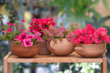 Tonschalen mit Blühpflanzen auf Holztisch im Garten