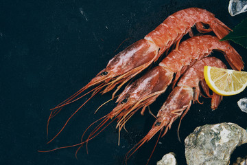 seafood langoustines oysters lemon on a black background
