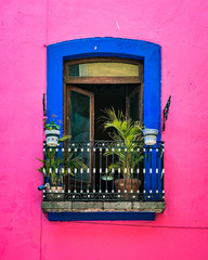 Brightly painted in pink and indigo blue window of a colonial building in the historical downtown...