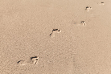 Fototapeta na wymiar Footprints of a single walking man, bare feet imprints