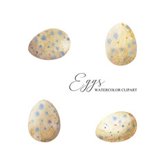 Bird eggs isolated on white background. Watercolor Easter set of eggs. Spring illustration. Hand drawn clipart for greeting cards, invitations, prints.