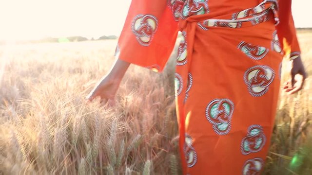 African woman in traditional clothes walking with her hand touching and feeling the crops, wheat or barley, in a farm field in Africa at sunset or sunrise