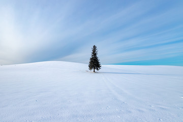 冬の美瑛　美しい北海道の風景